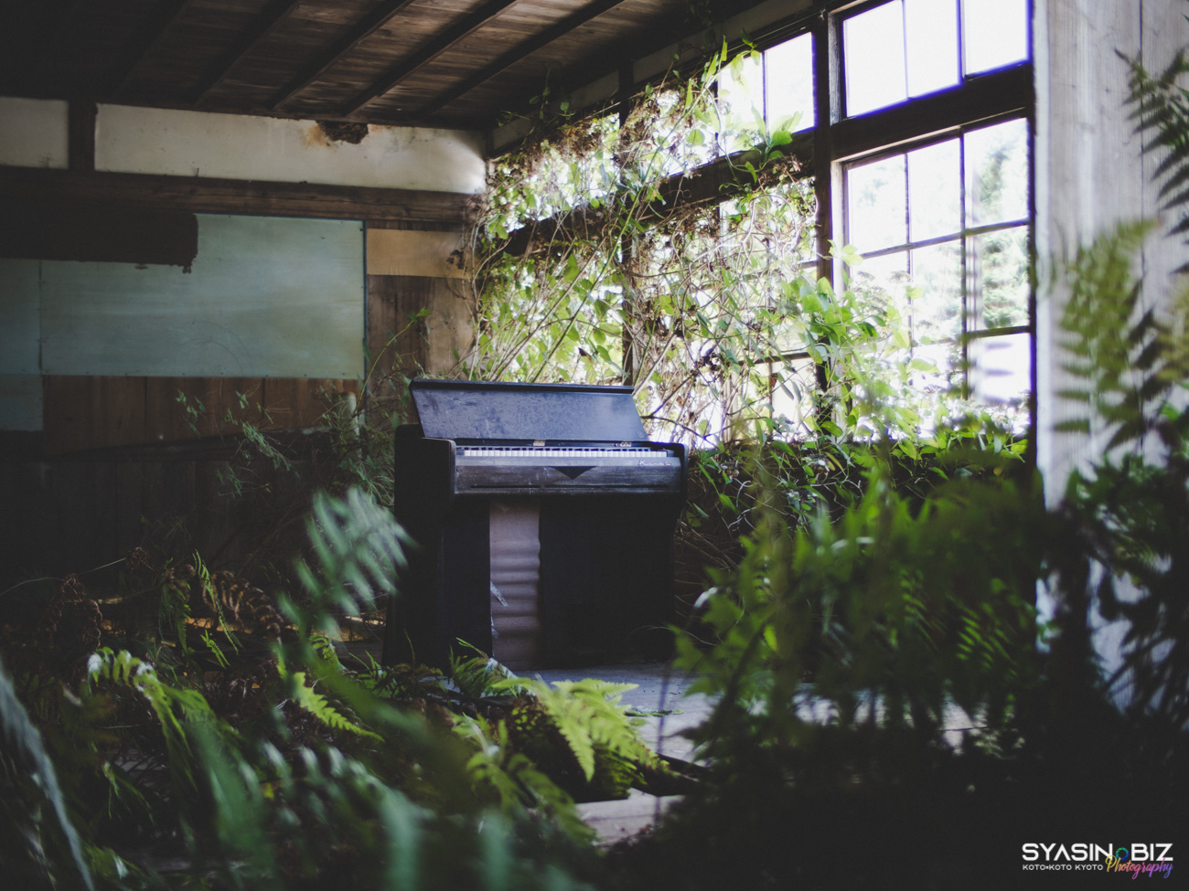 O小学校 – 草が生い茂る教室に佇むピアノが素敵な廃校